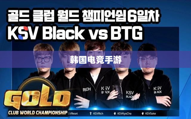 韩国电竞手游的魅力与热潮，游戏界的璀璨明星