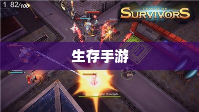 生存手游，离线体验的独特魅力探索