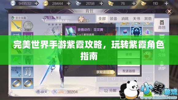 完美世界手游紫霞攻略，玩转紫霞角色指南