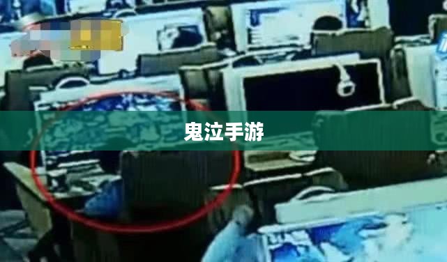 网吧能否玩鬼泣手游?探究游戏环境与手游体验体验 网吧能否玩鬼泣手游?探究游戏环境与手游体验体验