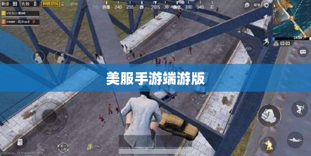 玩转美服手游端游版,攻略秘籍与体验提升指南 玩转美服手游端游版,攻略秘籍与体验提升指南