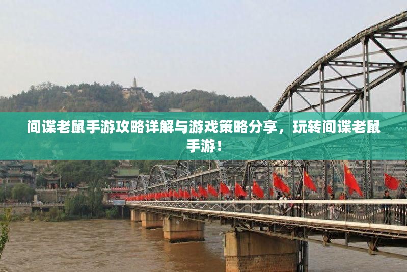 间谍老鼠手游攻略详解与游戏策略分享，玩转间谍老鼠手游！