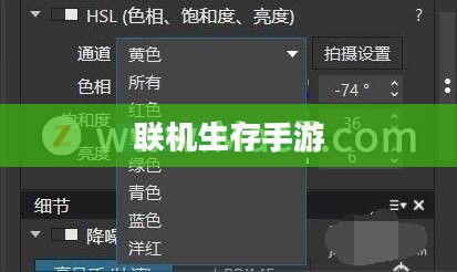 内存不足如何玩转联机生存手游攻略