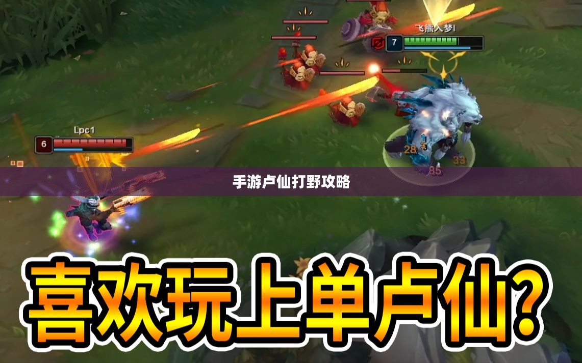 手游卢仙打野攻略，玩转野外战场技巧