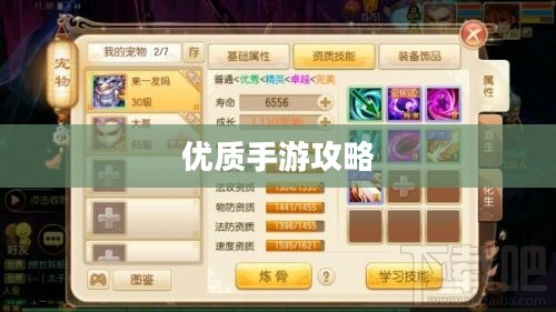 手游时代，玩转优质手游的时间攻略