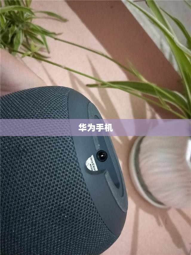 华为手机上手游女生玩转游戏攻略