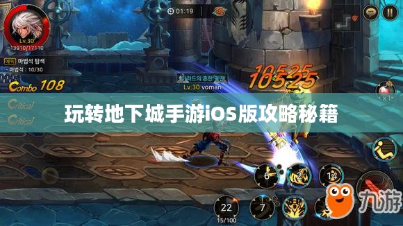 玩转地下城手游iOS版攻略秘籍