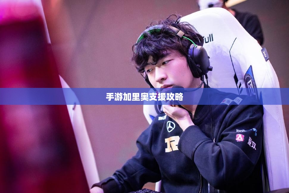 手游加里奥支援攻略，玩转英雄角色加里奥的秘诀