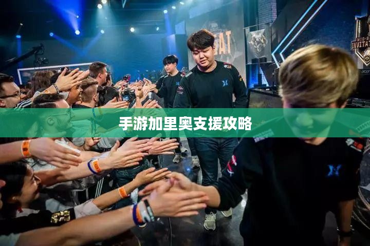 手游加里奥支援攻略,玩转英雄角色加里奥的秘诀 手游加里奥支援攻略,玩转英雄角色加里奥的秘诀