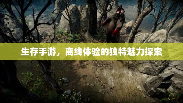 生存手游,离线体验的独特魅力探索 生存手游,离线体验的独特魅力探索