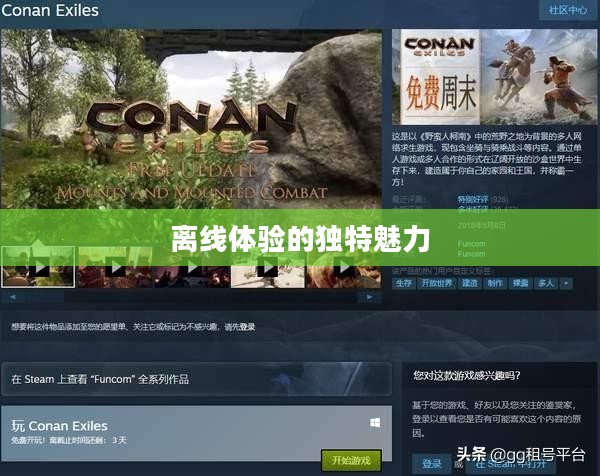 生存手游，离线体验的独特魅力探索
