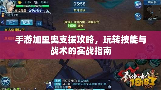 手游加里奥支援攻略,玩转技能与战术的实战指南 手游加里奥支援攻略,玩转技能与战术的实战指南