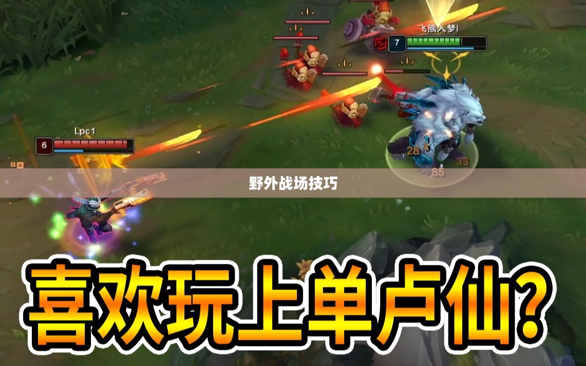 手游卢仙打野攻略，玩转野外战场技巧