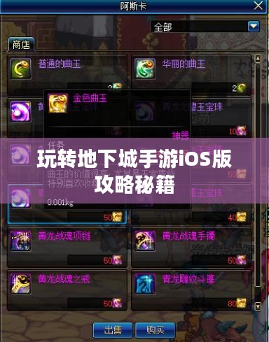 玩转地下城手游iOS版攻略秘籍