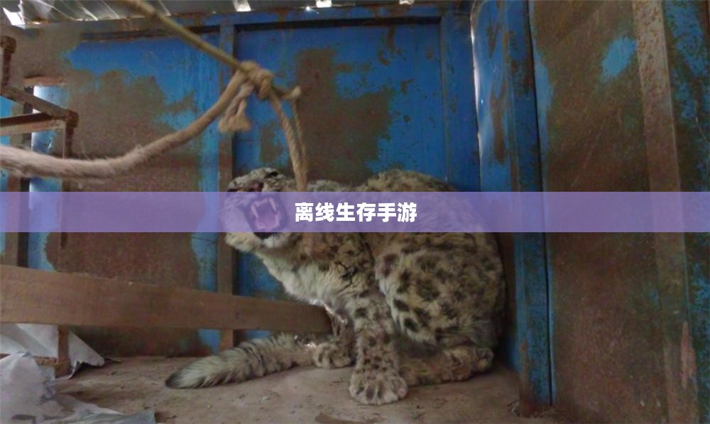 离线生存手游,独立体验的乐趣,无需网络也能尽享生存冒险的乐趣 离线生存手游,独立体验的乐趣,无需网络也能尽享生存冒险的乐趣