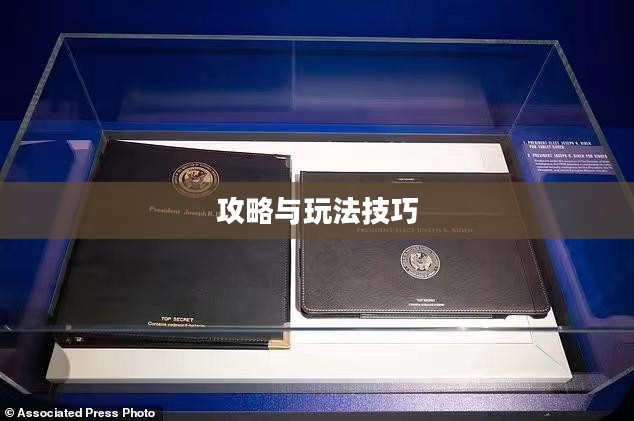 间谍老鼠手游攻略与玩法技巧详解