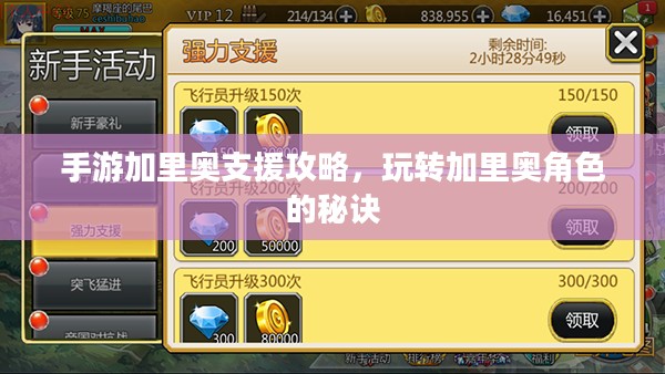 手游加里奥支援攻略，玩转加里奥角色的秘诀
