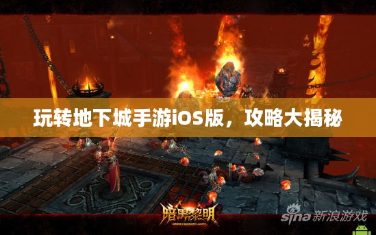 玩转地下城手游iOS版，攻略大揭秘