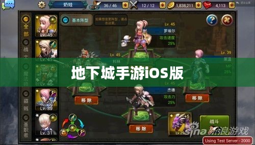 玩转地下城手游iOS版,攻略大揭秘 玩转地下城手游iOS版,攻略大揭秘