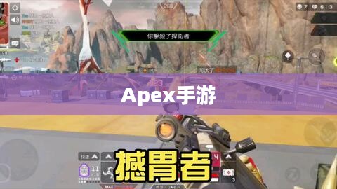 Apex手游不封号攻略指南，玩转游戏无后顾之忧