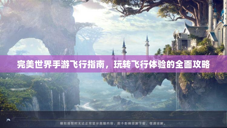 完美世界手游飞行指南，玩转飞行体验的全面攻略