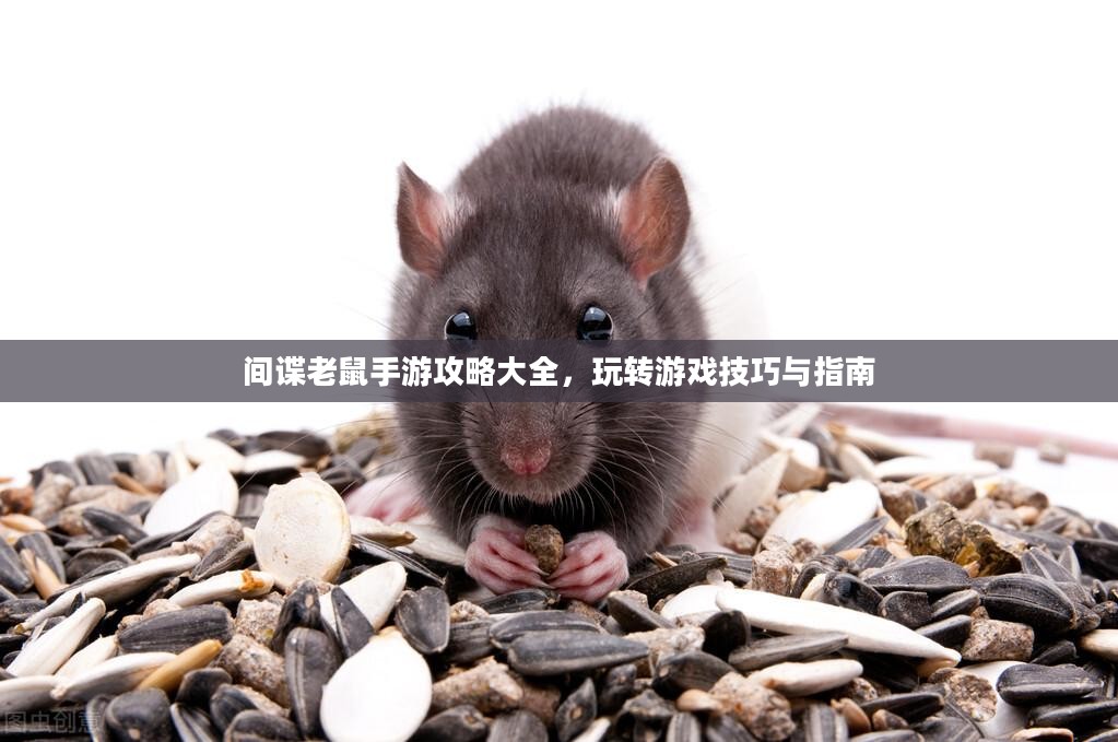 间谍老鼠手游攻略大全，玩转游戏技巧与指南