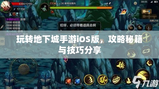 玩转地下城手游iOS版,攻略秘籍与技巧分享 玩转地下城手游iOS版,攻略秘籍与技巧分享