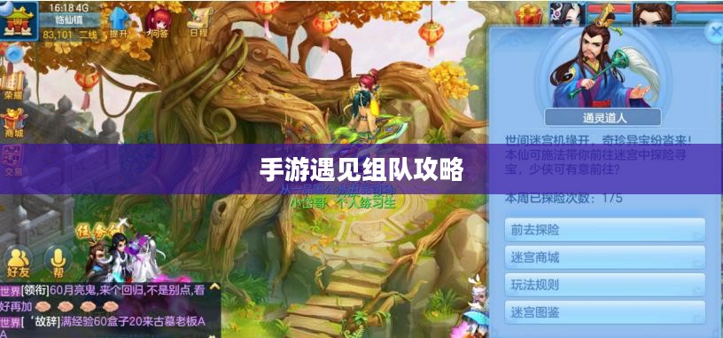 手游遇见组队攻略,策略与技巧分享 手游遇见组队攻略,策略与技巧分享
