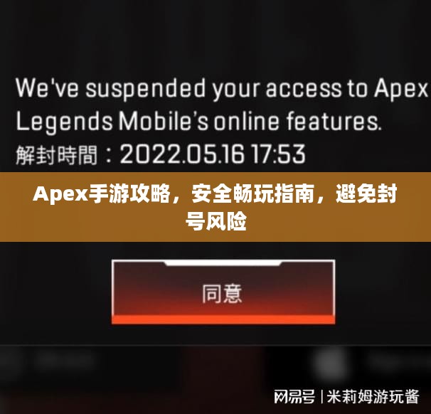 Apex手游攻略，安全畅玩指南，避免封号风险
