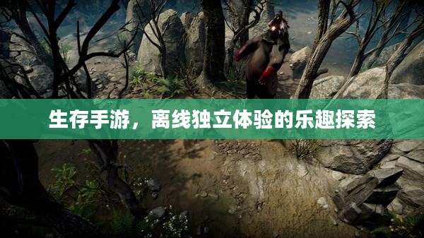 生存手游，离线独立体验的乐趣探索