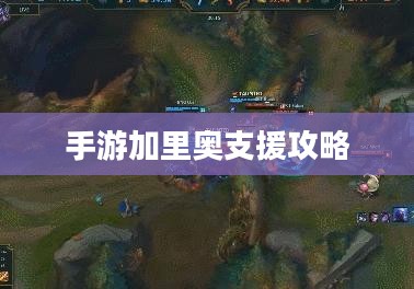 手游加里奥支援攻略,玩转加里奥角色的秘诀 手游加里奥支援攻略,玩转加里奥角色的秘诀