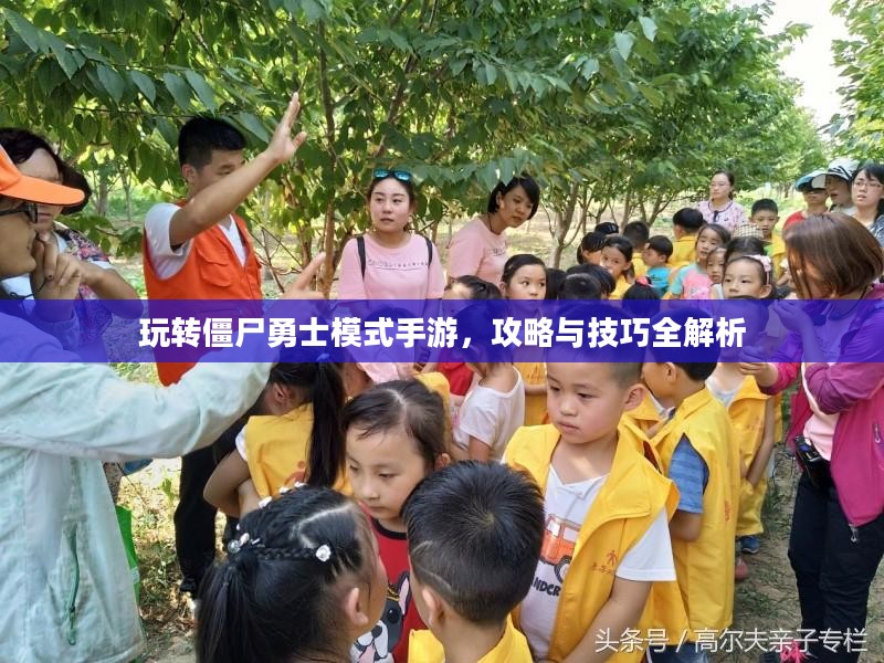玩转僵尸勇士模式手游，攻略与技巧全解析