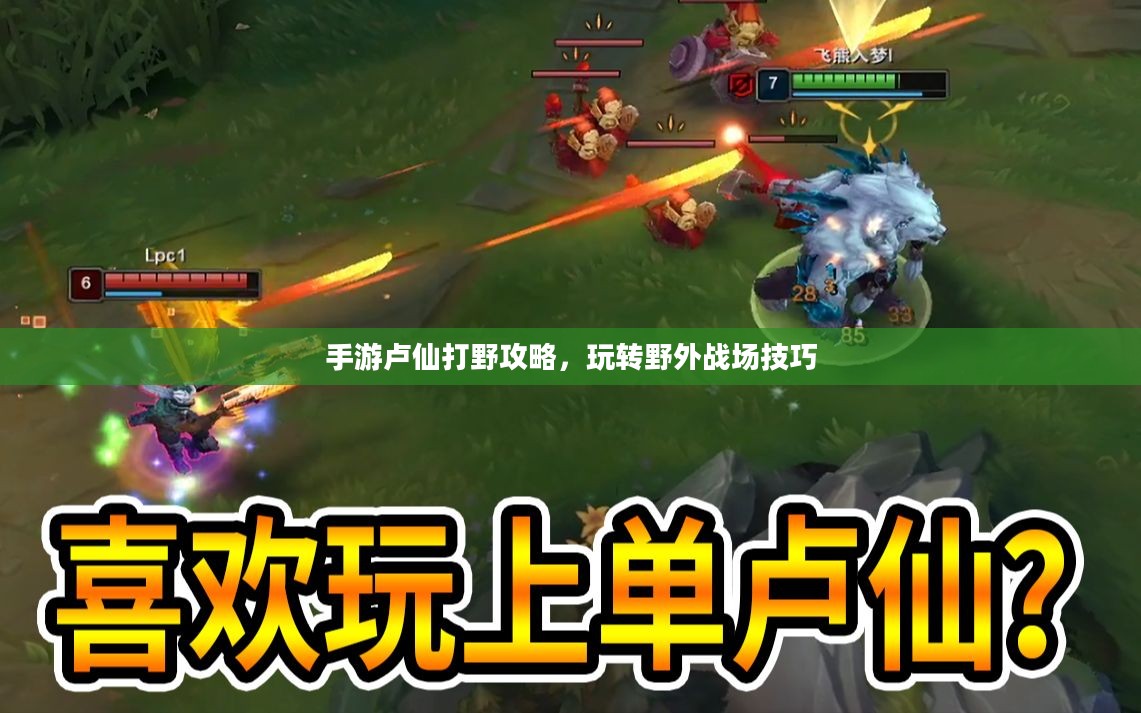 手游卢仙打野攻略，玩转野外战场技巧