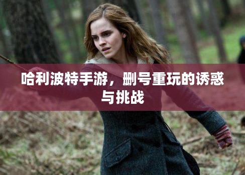 哈利波特手游，删号重玩的诱惑与挑战