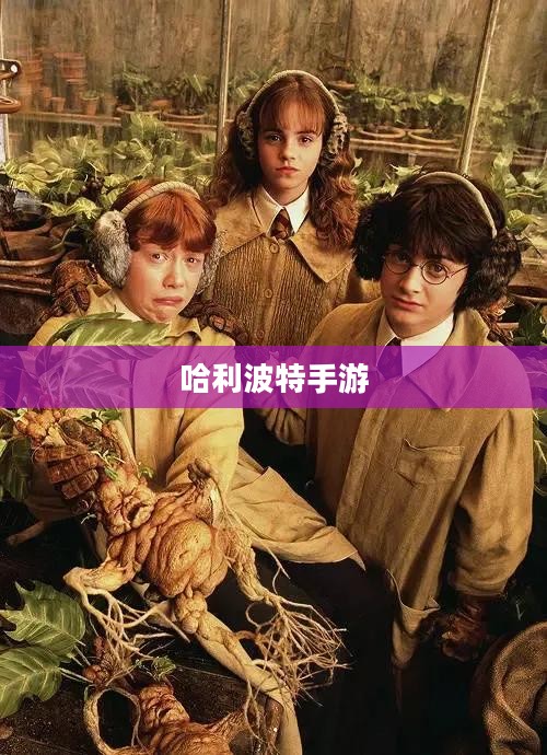 哈利波特手游，激发热情与参与的秘诀