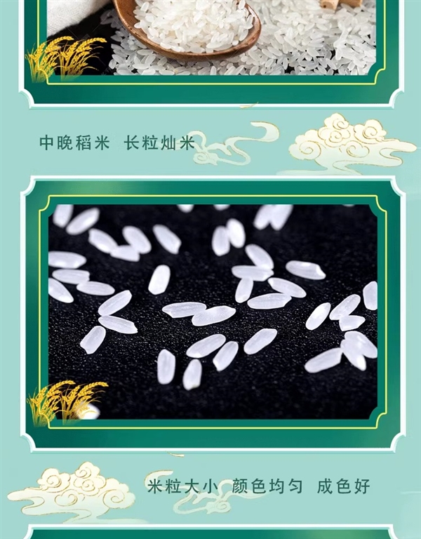 湖北省粮油集团出品:秋慕思田冷水晚籼米24.9元10斤