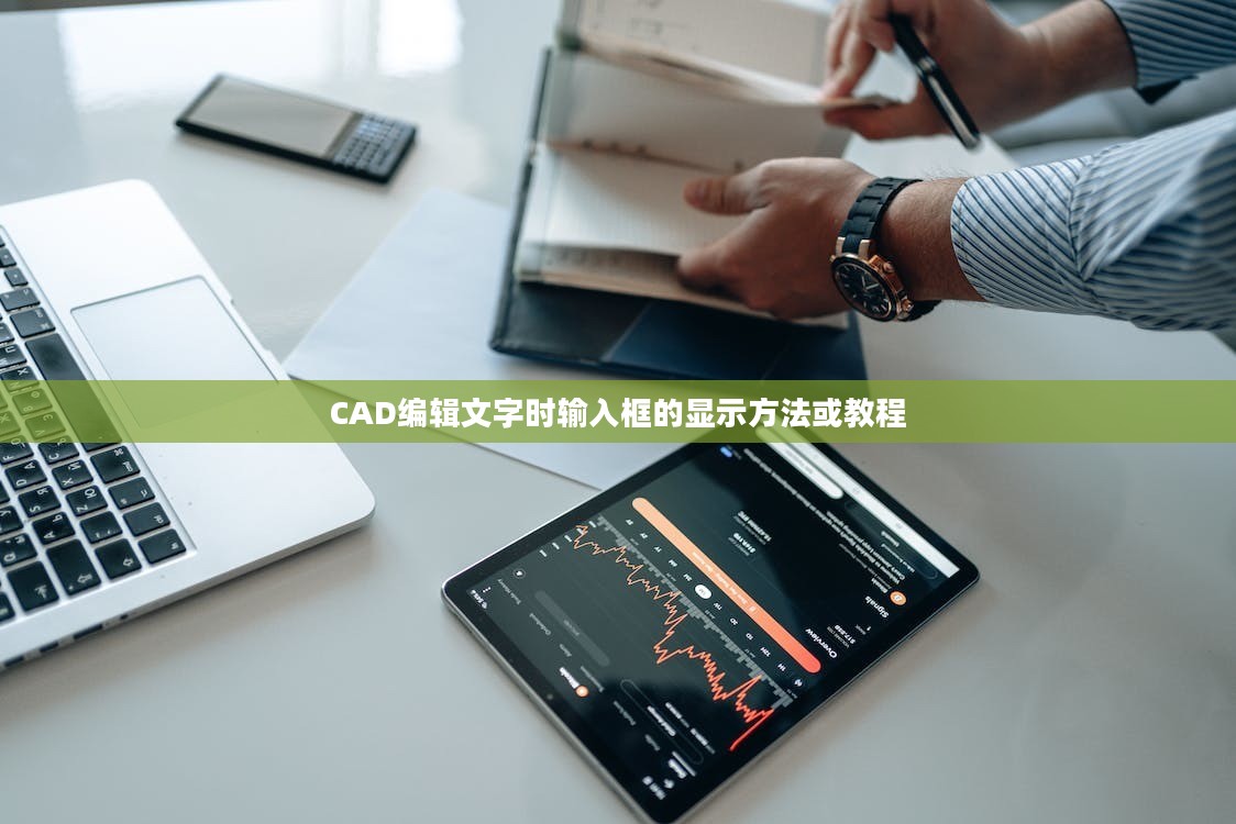 CAD编辑文字时输入框显示教程，方法与技巧