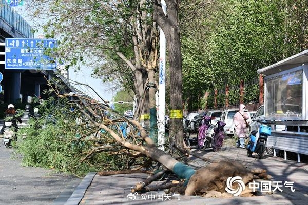 全国近500国家观测站极大风破纪录，持续大风预警及影响分析