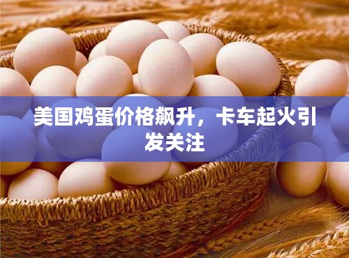 美国鸡蛋价格飙升，卡车起火引发社会关注热议