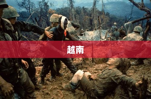 网站与问题解答，全方位指导助你解决问题