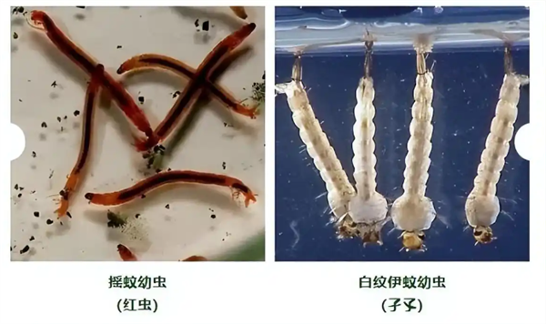 经过修正错别字、修饰语句以及补充内容后,文章如下,