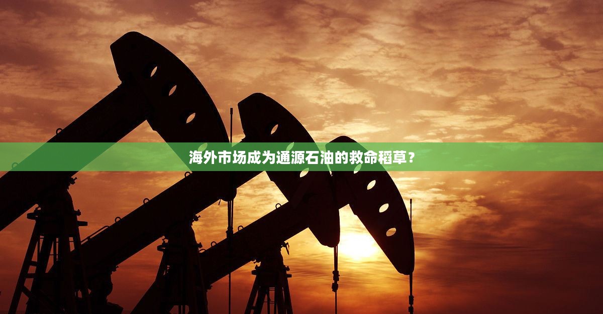 海外市场成为通源石油的救命稻草? 海外市场成为通源石油的救命稻草?