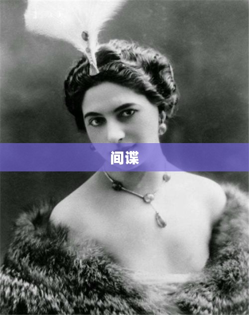 边境出租车司机英勇斗争间谍嫌犯事件，表彰奖励超90名群众
