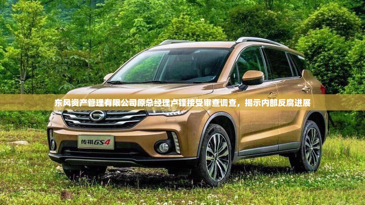 东风资产管理有限公司原总经理卢锋接受审查调查,揭示内部反腐进展 东风资产管理有限公司原总经理卢锋接受审查调查,揭示内部反腐进展