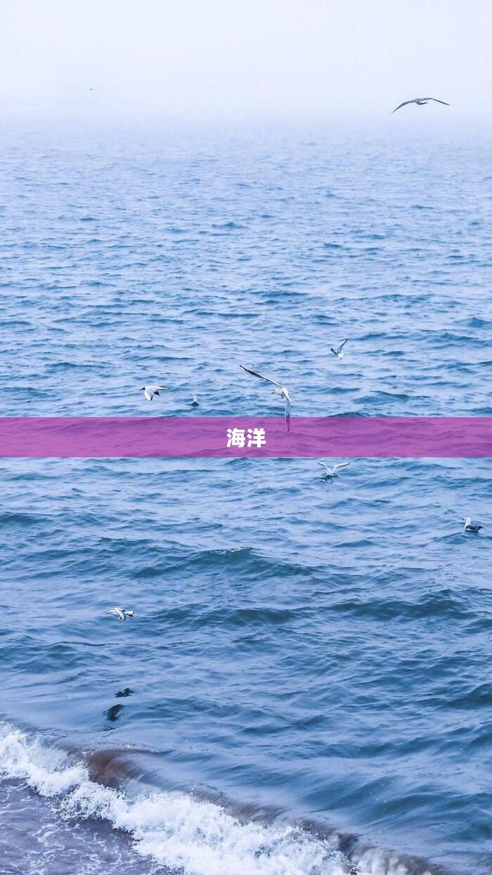 沿海经济大省突破万亿大关城市的24小时发展纪实