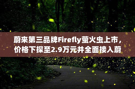 蔚来第三品牌Firefly萤火虫上市，价格下探至2.9万元并全面接入蔚来服务体系