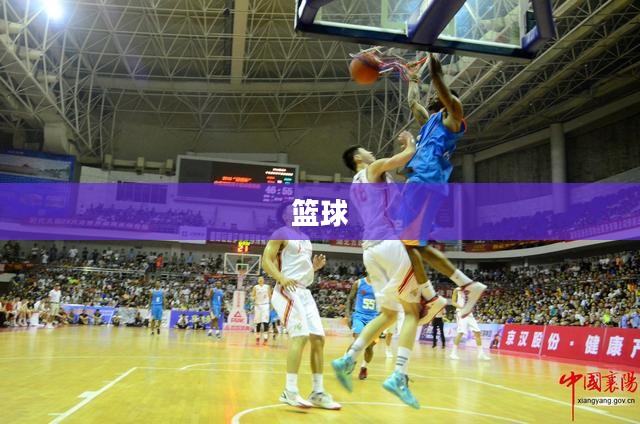 篮球赛事直播盛宴,NBA的激情与魅力展现 篮球赛事直播盛宴,NBA的激情与魅力展现
