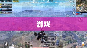 亮剑精神重塑游戏世界，沉浸式体验的新篇章