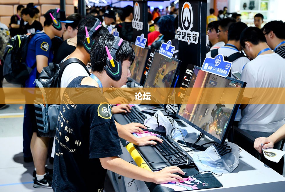 深入玩家社区，体验服论坛交流之旅探索