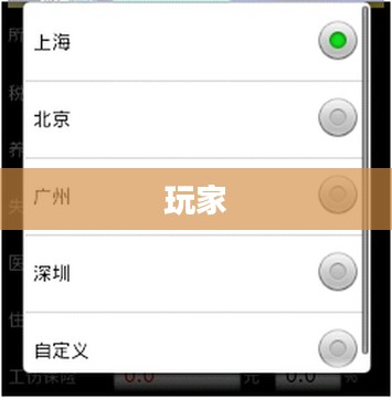 梦幻西游辅助工具，游戏策略优化指南手册